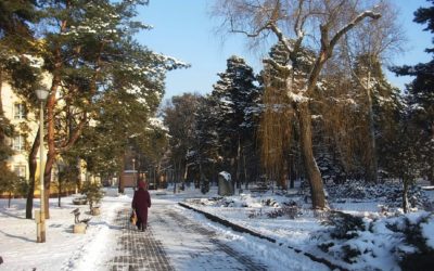 Billigare skotta bort dyra halkolyckor